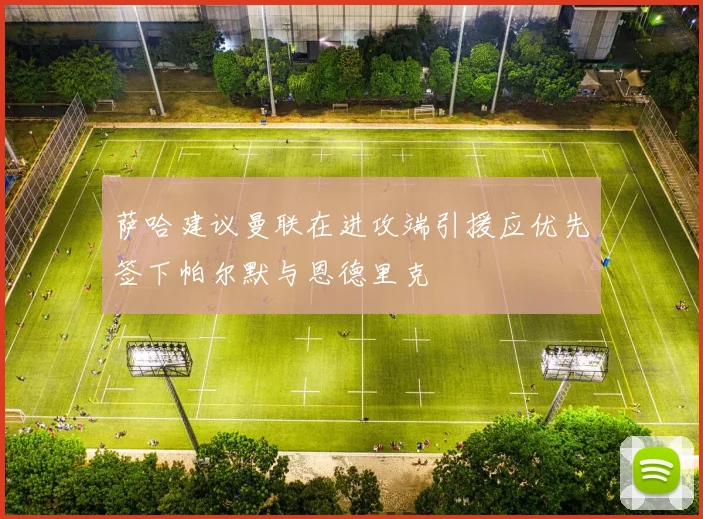 萨哈建议曼联在进攻端引援应优先签下帕尔默与恩德里克