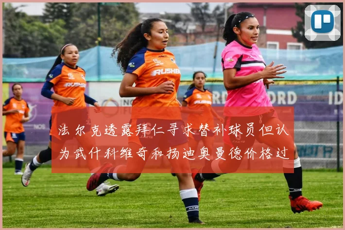 法尔克透露拜仁寻求替补球员但认为武什科维奇和扬迪奥曼德价格过高