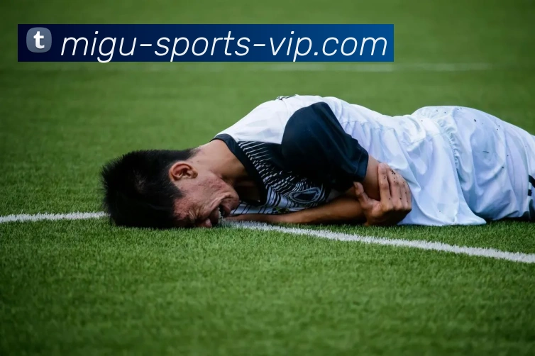 App Interface Preview